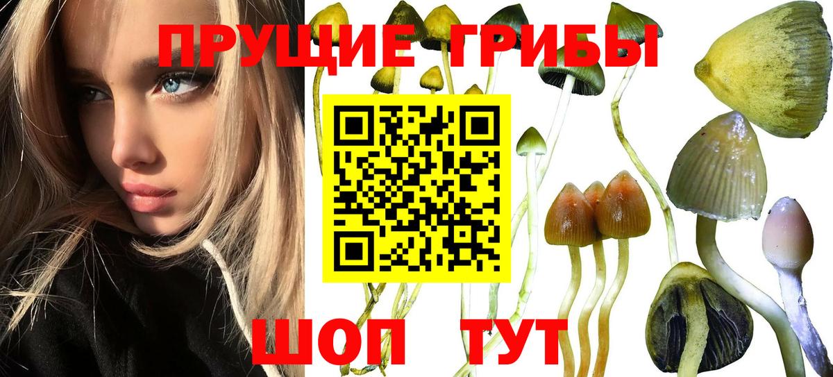 Галлюциногенные грибы мицелий  Псилоцибиновые грибы мухоморы  Вход с VPN  Шебекино 